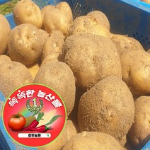 효민농원 햇 감자 강원도 농장 노지 하우스 포슬포슬 맛있는, 1박스, 상(알감자)10kg