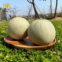 [쥬시맨] 산뜻! 피크닉 필수 꿀당도 나주 세론이 세지멜론 1.25kg 1.66kg 단위, 세지멜론 상 (3과 5kg) 파란 박스, 1개