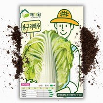 동구리 배추씨앗 (100립) 가을배추