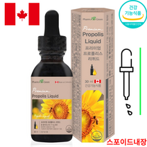 프리미엄 프로폴리스 리퀴드 30ml 캐나다직수입