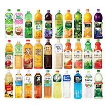 1.5L X 6개 과즙음료 건강 전통차음료 골라담기 업소용 델몬트 가야농장 미닛메이드 코코팜 웅진 과일촌 아침햇살 블랙보리 팔도 광동 남양 이노엔 게토레이 포카리스웨트, 갈아만든배 1.5L 6개