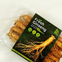 한국고려인삼 6년근인삼 세척인삼 생인삼 인삼한채 고려인삼 삼계탕인삼 백삼 인삼세척 인삼6년근 인삼1채, 무료세척