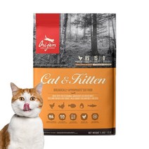 오리젠 전연령 캣 앤 키튼 건식사료, 닭, 5.4kg, 1개
