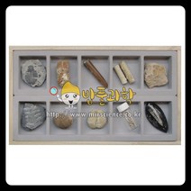 고생대 화석표본