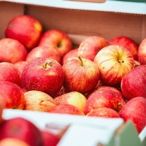 홍로사과 한가위 추석 선물세트 특품 특대과 제수용 4kg, 특대과 4kg 12과수내외 특품 제수용, 선물보자기 미포함