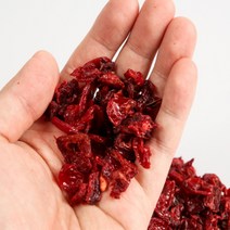 국내산 구례 말린산수유 건산수유 500g