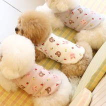 [갤러리아] 꼴레트멍멍토끼와곰돌이 슬리브리스 강아지티셔츠 3color 루앤담, 그레이