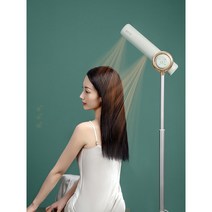 스탠드 드라이어 가정용 속건 음이온 헤어 드라이기 양손 자유, 민트그린