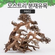 모스트리 분재유목 M602 베트남유목 수초어항 꾸미기 수조장식 수족관