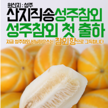 참앤팜 2020년 햇 성주참외, 1박스, 11)가정용 성주참외 랜덤 10kg이내(포장재포함)