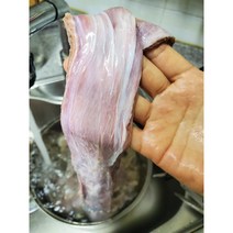 강아지 기호성 간식 생오리고기 목뼈 가슴살 안심 오돌뼈 근위 염통 도가니 혀 대용량, 16.무항생제 오리식도근 500g