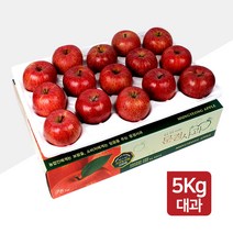 [명품농원] 당도선별 문경 사과 5kg 꿀 부사 선물세트, 1박스, 02. 가정용 대과 5kg(14~16과)-흠과