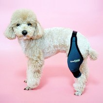 오르토카니스 강아지 슬개골 보호대 동물용 의료기기 ORT003, 발 방향:오른발|사이즈:M