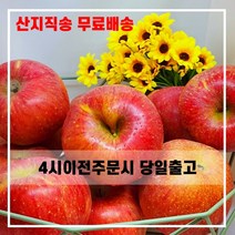 산지직송 햇사과 일품 꿀 부사 사과 충북 5kg 10kg 선물용 가정용, 선물용 정품 중과 17~18과