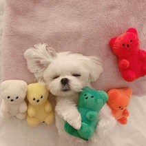 강아지 애착인형 하리보인형 5종세트, 오렌지