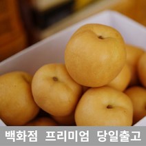 [특 등급 선별] 배 5kg 제철과일 과일 가래없애는방법 배도라지즙 과일종류 도라지배즙 배즙 과일선물세트 봄제철과일 배한상자 나주배 요즘제철과일 서양배 과일선물 특산물 배즙효능 배, 제이샵 본상품선택