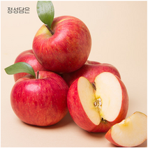 정성담은 아삭한 사과, 10kg(중대과), 1개