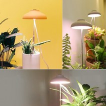 파인굿즈 LED 우산 식물등 식물 다육이 로즈마리 키우는법 성장 생장 재배 램프 홈가드닝 조명, 우산식물등-그린