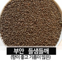 [진도장모와서울큰사위] 들샘들깨 종자 500g 향좋고 기름많은 부안 산지직송, 250g, 2개