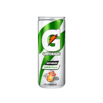 롯데 게토레이 240ml x 30캔, 상세페이지 참조