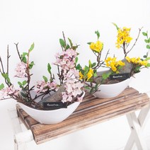 (+사은품)프리미엄 테이블 장식 센터피스 조화 수반 모음 꽃 인테리어 럭셔리 카페 소품 2, 16.안개플라워수반set 20cmP-퍼플(+캔버스A), 1개