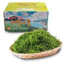 전남생협 산지직송 비금도 해풍으로 키운 세발나물 2kg, 1