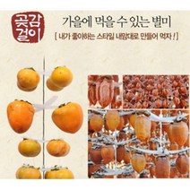 과일 자연건조 곶감 말리는 행어 2개 채소건조 식품건조기, 꼭지핀100개