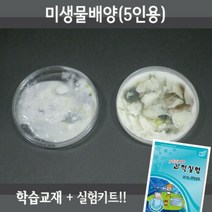 미생물배양 5인용재료 5권교재 동영상