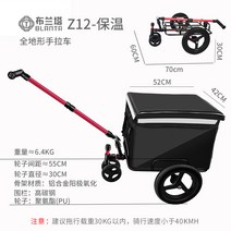 캠프카 야외 자전거 트레일러 낚시 캠핑 큰 바퀴 브란타 절연 전기 자동차 트랙터, B