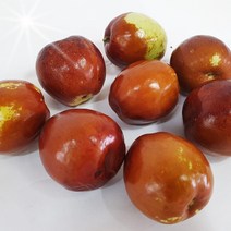 충북보은에서 자란 사과대추 보은생대추 [산지직송으로] 1kg, 사과대추 1kg 55~65과 내외, 1개