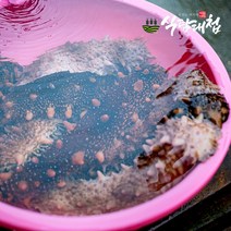 식탐대첩 해녀가 잡은 자연산 해삼 2kg (36-46미), 단품