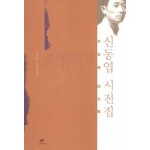 신동엽 시전집, 창비, 신동엽, 강형철(엮음), 김윤태(엮음)