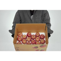 청년농부 못난이 부사사과 5KG, 2kg 미니, 1개