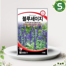 블루세이지 씨앗 100립 다년생 절화용 꽃씨앗 종자, 단품