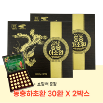동충화초 눈꽃 동충하초환 골드 부모님 노인 건강환 고급 설 선물 은퇴 은사님 어버이날 스승의날 쇼핑백 증정 2박스