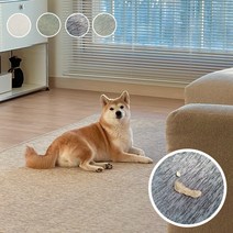 펫테리어 하멜러그 거실 사각 원형 대형 카페트 러그 맞춤 4colors 6size