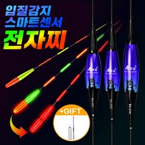 낚시찌 민물 전자찌 입질 센서찌 스마트찌 양어장 하우스 올림찌 내림찌 추천, 입질스마트전자찌 BA-006