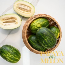 보드랍고 달콤한 경북 고령 산지직송 그린 파파야 메론 2kg (3-6과) 3kg (4-8과) 5kg (6-10과), 2kg 1수