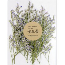 [바보사랑] 꽃보듬 미스티블루 (소), 상세 설명 참조