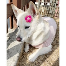 강아지머리핀 빗살핀 폼폼이핀 꽃핀 헤어핀 핸드메이드핀, 레드