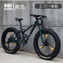 팻바이크 펫바이크 가벼운 오프로드 광폭 MTB 여성용 타이어 광폭타이어 다운힐 mtb, 26인치 + 24단cm, Q
