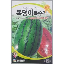 복덩이복수박 씨앗/맛 좋고 식감이 좋은 타원형의 미니 꿀수박//가람종묘사