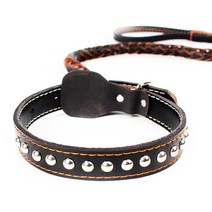 애구애구 트위스트 가죽목줄 중형견 대형견, 블랙