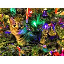 타워팰리스 고양이섬 크리스마스 트리 고양이 인쇄 11CT 크로스 스티치 DIY 자수 키트 DMC 스레드 공예 수공예품 수제 뜨개질 성인, HMA56266_80x100cm | 11CT Cotto