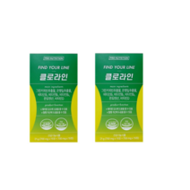 클로라인 그린커피빈 다이어트 혈행개선 체지방감소 967726 혈행개선영양제 1+1, 2개, 30정
