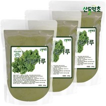 국내산 케일 가루 분말 300gx3팩