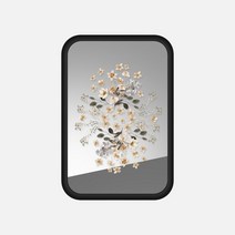 케이스티파이 맥세이프 배터리 Pack 팩 미러케이스 WILD플라워 FRIDAY Silver, Silver Mirror on Black