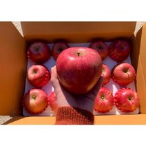 경북 청송사과 고당도사과 5kg 가정용16과내 부사 홍로, 단품