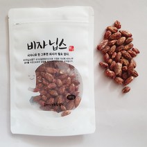5일동안 견과류 비자 닙스, 1개입, 100g
