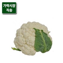 가락시장직송 칼리플라워 1개, 단품